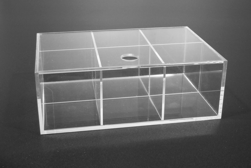 Scatola plexiglas trasparente 6 comparti con coperchio